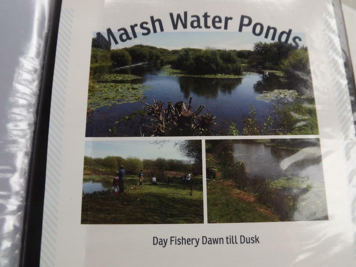 Marsh Water Ponds Fishery Villa Kidwelly Kültér fotó